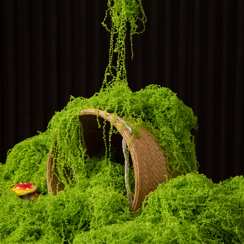 Landscape Bonsai Garden - มอสอมตะ 200 กรัม สำหรับงาน DIY ตกแต่งบ้าน