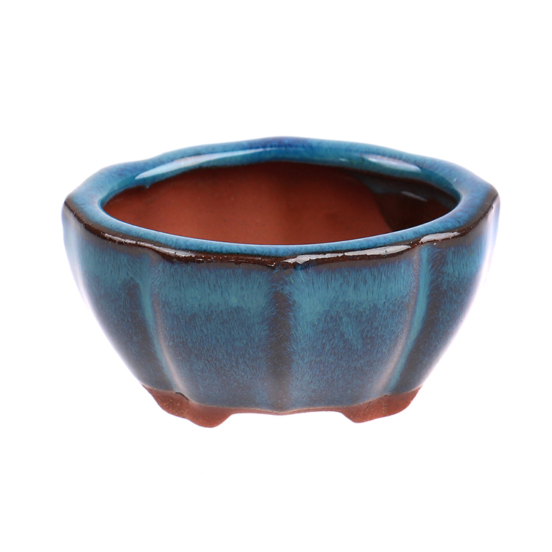 กระถางปลูกบอนไซเซรามิกขนาดเล็ก - Bonsai Garden Chinese Garden บทวิจารณ์และราคา