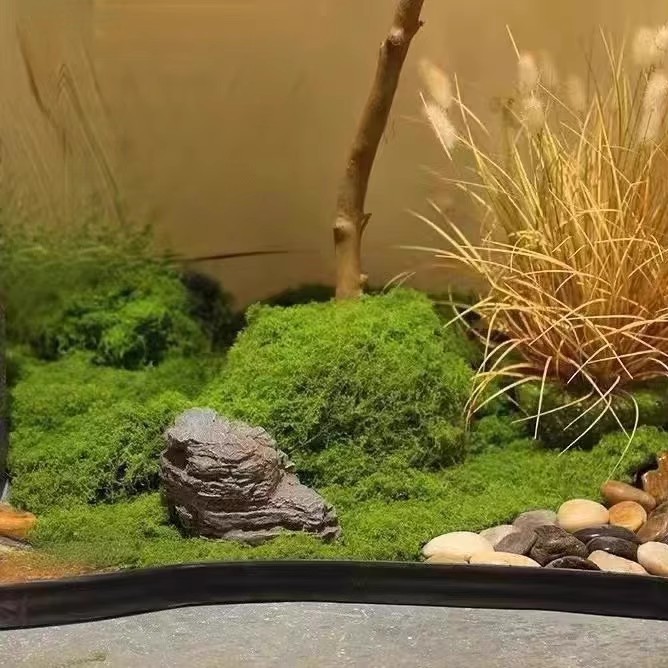 มอสอมตะ 200 กรัม สำหรับงาน DIY - Landscape Bonsai Garden บทวิจารณ์และราคา