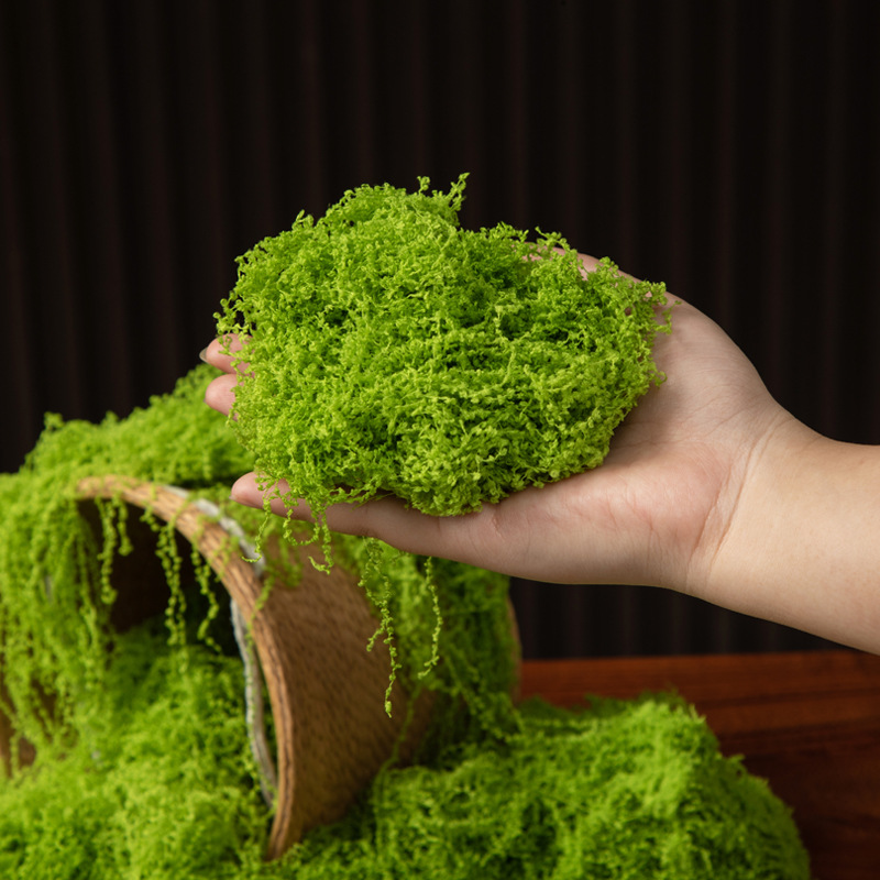 มอสอมตะ 200 กรัม สำหรับงาน DIY - Landscape Bonsai Garden บทวิจารณ์และราคา