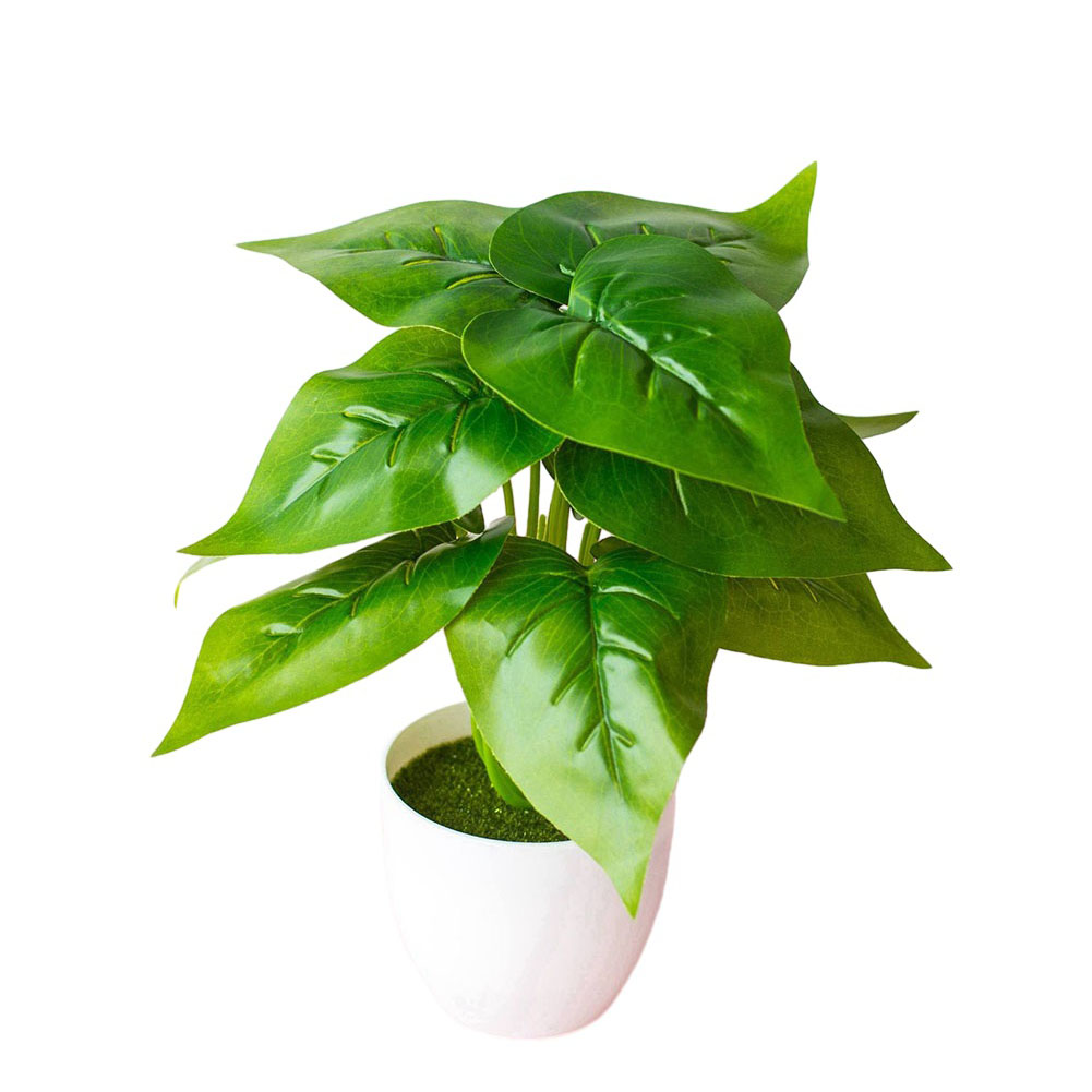 ต้นไม้ประดิษฐ์เสมือนจริงในกระถ - Bonsai Garden Landscape Design บทวิจารณ์และราคา