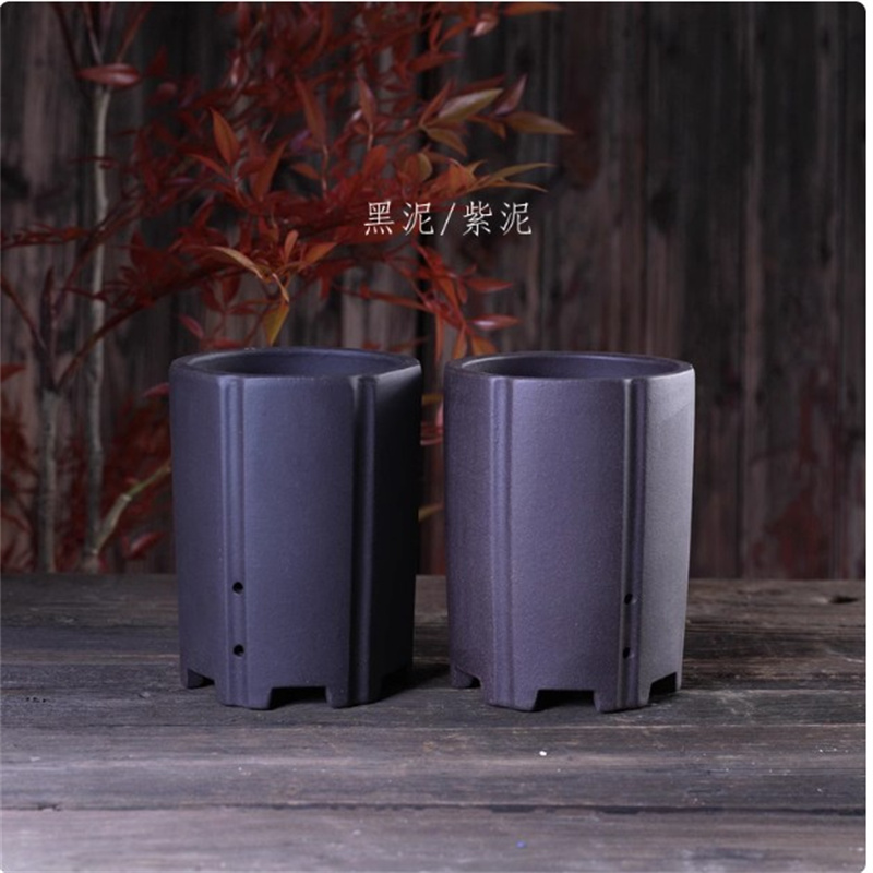 สีม่วงเครื่องปั้นดินเผาทําด้วย - Bonsai Garden Chinese Garden บทวิจารณ์และราคา