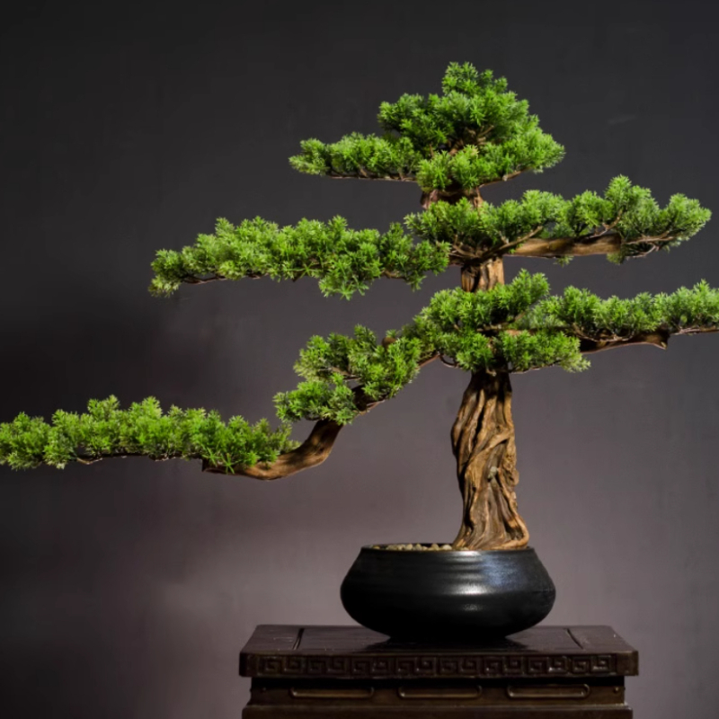 ของตกแต่งบ้าน ต้นสนจำลอง งานเซ - Bonsai Garden Entrance บทวิจารณ์และราคา