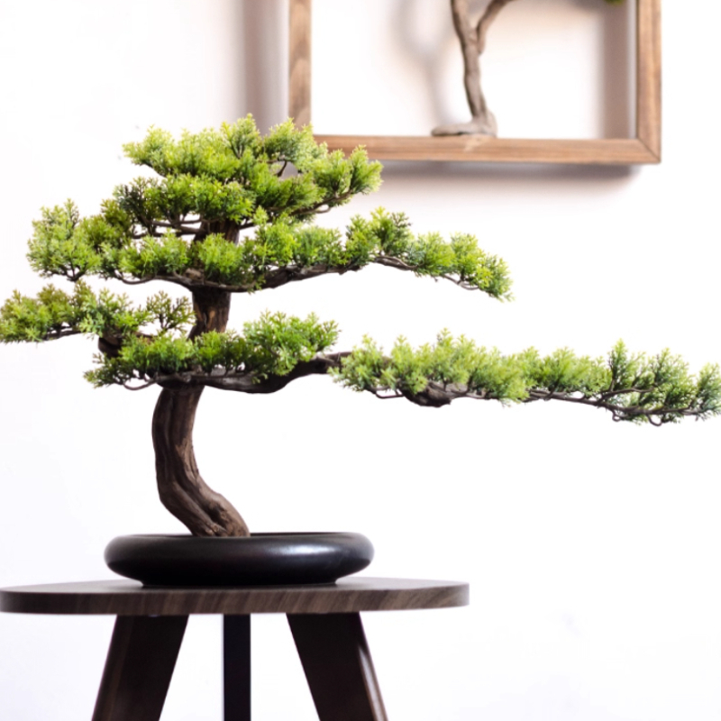 ของตกแต่งบ้าน ต้นสนจำลอง งานเซ - Bonsai Garden Entrance บทวิจารณ์และราคา
