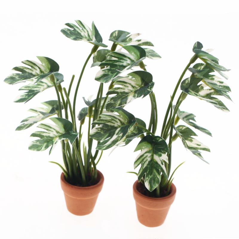 ใหม่! ต้นมอนสเตอร่าจำลอง 1 ชิ้ - Landscape Bonsai Garden บทวิจารณ์และราคา