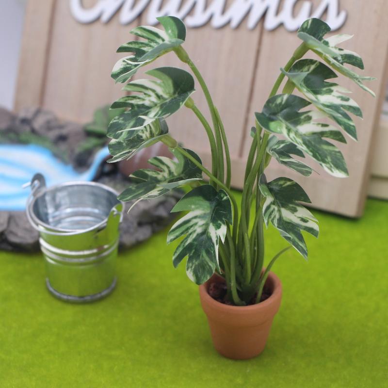ใหม่! ต้นมอนสเตอร่าจำลอง 1 ชิ้ - Landscape Bonsai Garden บทวิจารณ์และราคา