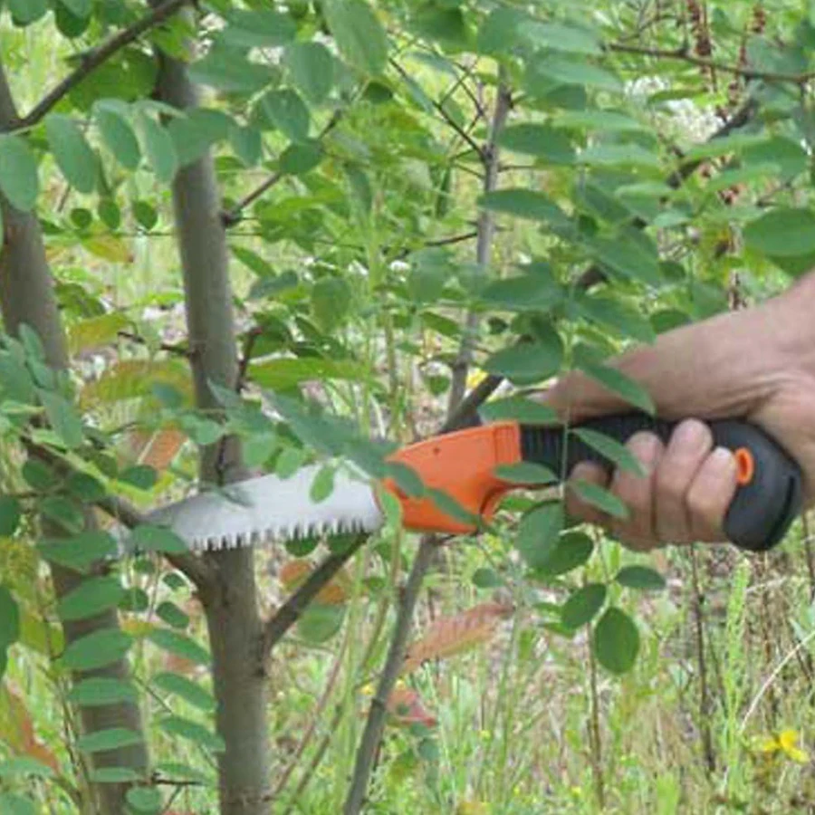 เครื่องมือทำสวน อุปกรณ์ทำฟาร์ม - Bonsai Saw Folding บทวิจารณ์และราคา